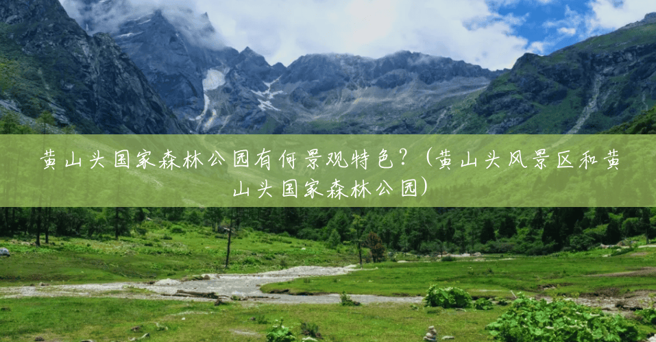 黄山头国家森林公园有何景观特色?(黄山头风景区和黄山头国家森林公园) 黄山头国家森林公园有何景观特色?(黄山头风景区和黄山头国家森林公园)
