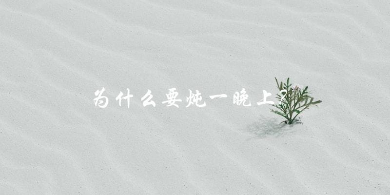 为什么要炖一晚上? 为什么要炖一晚上?