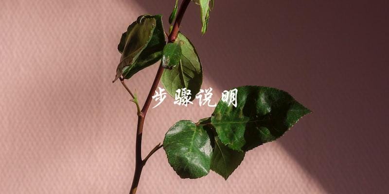 步骤说明 步骤说明