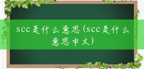 scc是什么意思(scc是什么意思中文)