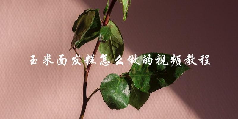 视频教程：如何制作玉米面发糕