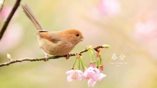 重阳节怀念父亲到心碎的句子