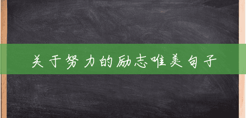 关于努力的励志唯美句子