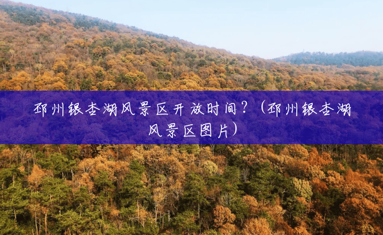 邳州银杏湖风景区开放时间?(邳州银杏湖风景区图片) 邳州银杏湖风景区开放时间?(邳州银杏湖风景区图片)