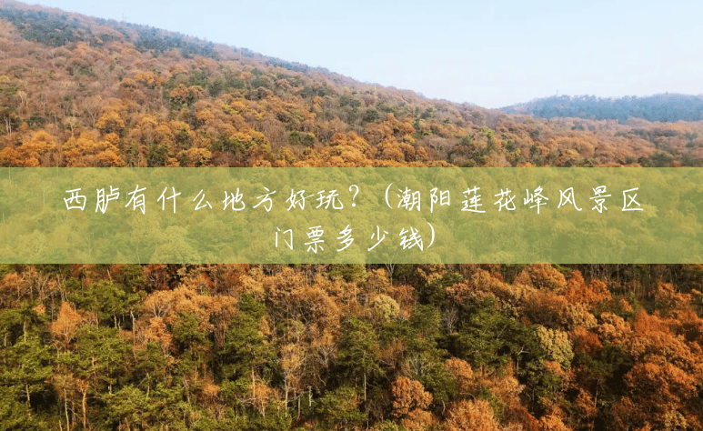 西胪有什么地方好玩?(潮阳莲花峰风景区门票多少钱) 西胪有什么地方好玩?(潮阳莲花峰风景区门票多少钱)