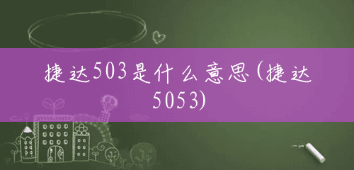 捷达503是什么意思(捷达5053)