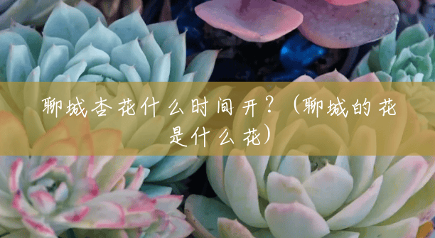 聊城杏花什么时间开?(聊城的花是什么花) 聊城杏花什么时间开?(聊城的花是什么花)