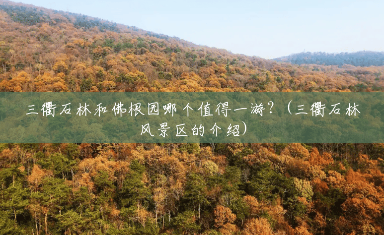三衢石林和佛根园哪个值得一游?(三衢石林风景区的介绍) 三衢石林和佛根园哪个值得一游?(三衢石林风景区的介绍)