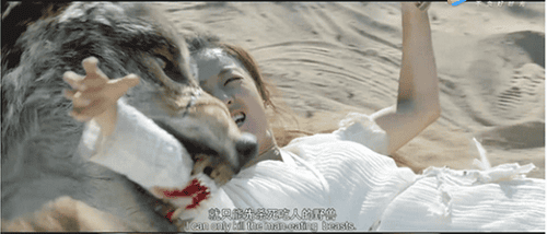 楚乔为什么叫作荆小六?荆小六的真实身份是(楚乔传中荆小六的身世) 楚乔为什么叫作荆小六?荆小六的真实身份是(楚乔传中荆小六的身世)