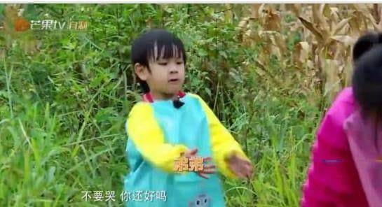 吴尊儿子max是个姐姐控(吴尊neinei和max多大了) 吴尊儿子max是个姐姐控(吴尊neinei和max多大了)