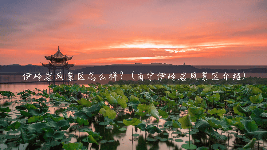 伊岭岩风景区怎么样?(南宁伊岭岩风景区介绍) 伊岭岩风景区怎么样?(南宁伊岭岩风景区介绍)