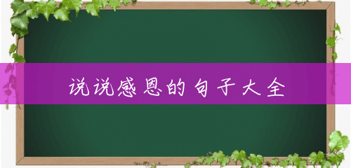 说说感恩的句子大全 说说感恩的句子大全