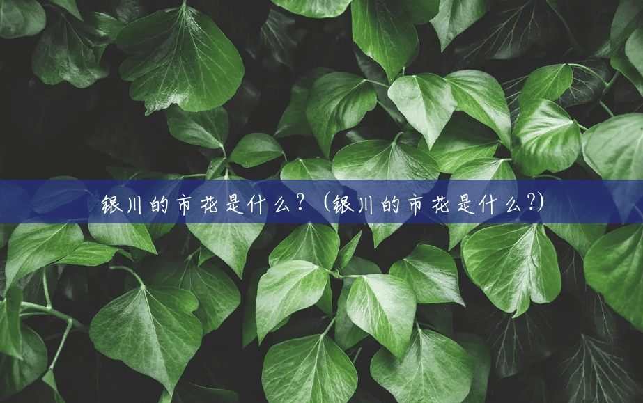 银川的市花是什么？(银川的市花是什么?)