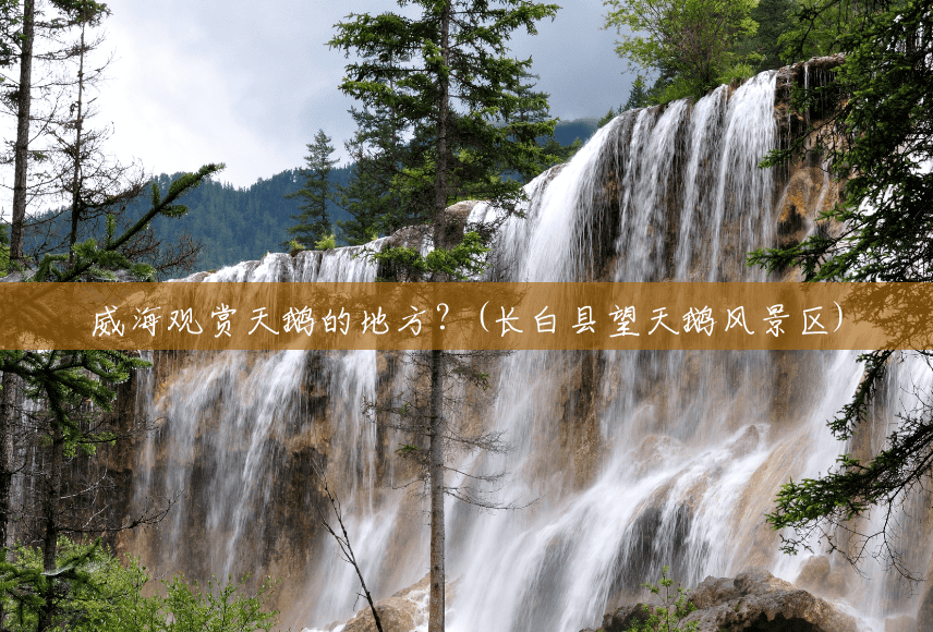 威海观赏天鹅的地方?(长白县望天鹅风景区) 威海观赏天鹅的地方?(长白县望天鹅风景区)