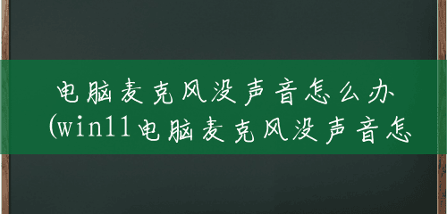 电脑麦克风没声音怎么办(win11电脑麦克风没声音怎么办) 电脑麦克风没声音怎么办(win11电脑麦克风没声音怎么办)