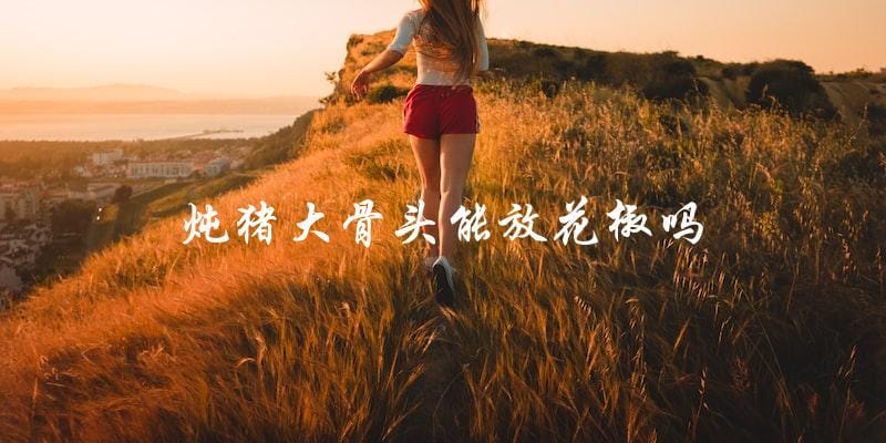 炖猪大骨头能放花椒吗 炖猪大骨头能放花椒吗