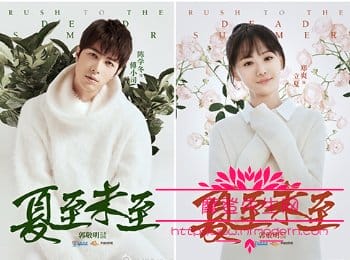 夏至未至具体什么时候上映?夏至未至的大结(夏至未至结束时间) 夏至未至具体什么时候上映?夏至未至的大结(夏至未至结束时间)