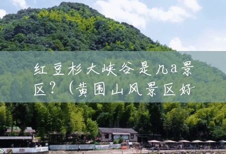 红豆杉大峡谷是几a景区?(黄围山风景区好不好玩) 红豆杉大峡谷是几a景区?(黄围山风景区好不好玩)