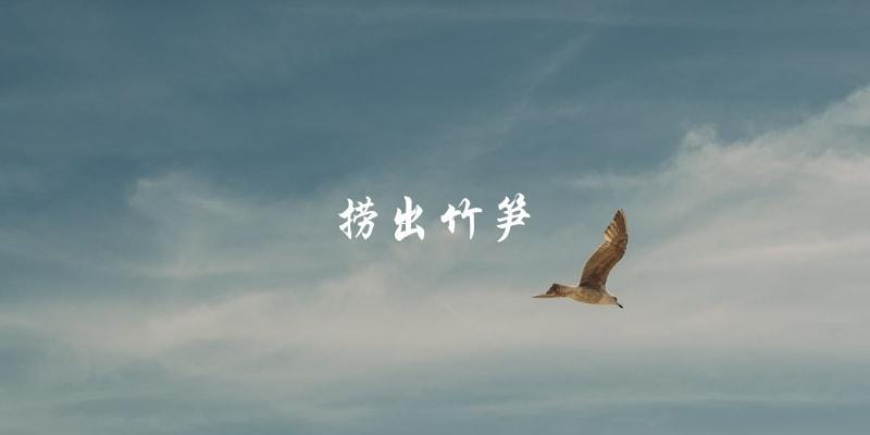 捞出竹笋