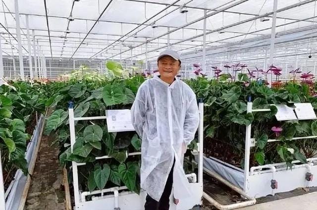 半年卖货超万亿,直播带动农村电商爆发
