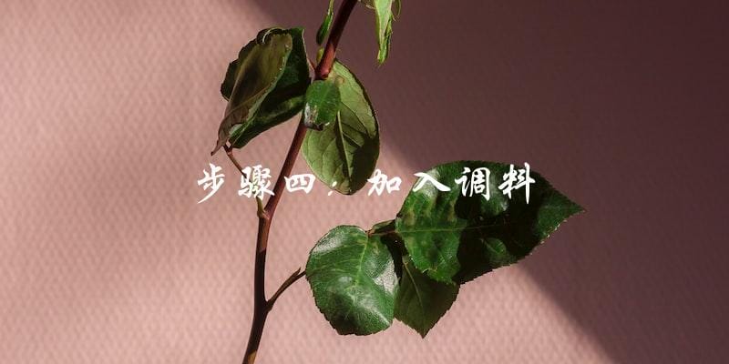 步骤四:加入调料 步骤四:加入调料
