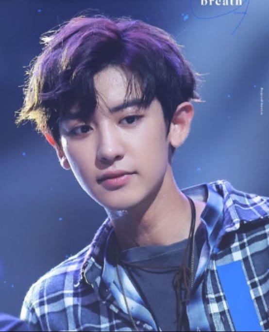 朴灿烈为什么叫pcy?朴灿烈被人叫火山的 朴灿烈为什么叫pcy?朴灿烈被人叫火山的