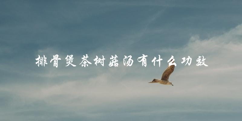 排骨煲茶树菇汤的功效大揭秘! 排骨煲茶树菇汤的功效大揭秘!