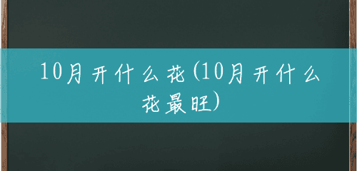 10月开什么花(10月开什么花最旺) 10月开什么花(10月开什么花最旺)
