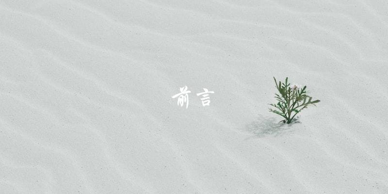 前言 前言