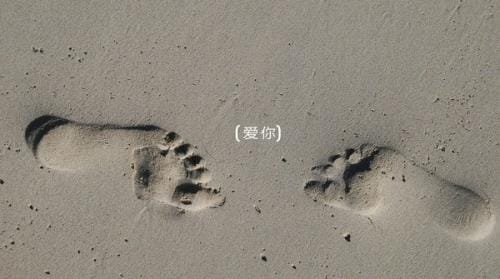 清晨励志短句霸气致自己