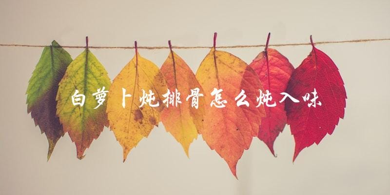 白萝卜炖排骨怎么炖入味 白萝卜炖排骨怎么炖入味