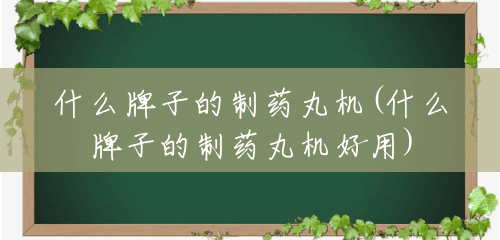 什么牌子的制药丸机(什么牌子的制药丸机好用) 什么牌子的制药丸机(什么牌子的制药丸机好用)