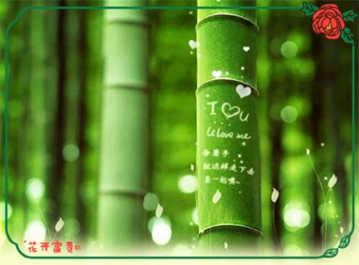数学哲理qq空间说说