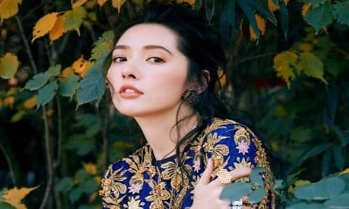 向太官宣郭碧婷怀孕透露预产期(向太晒郭碧婷孕照) 向太官宣郭碧婷怀孕透露预产期(向太晒郭碧婷孕照)