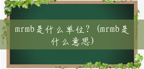 mrmb是什么单位?(mrmb是什么意思) mrmb是什么单位?(mrmb是什么意思)