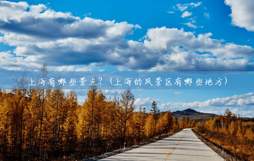 上海有哪些景点？(上海的风景区有哪些地方)