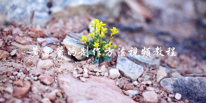 黄豆酱的制作方法视频教程 黄豆酱的制作方法视频教程