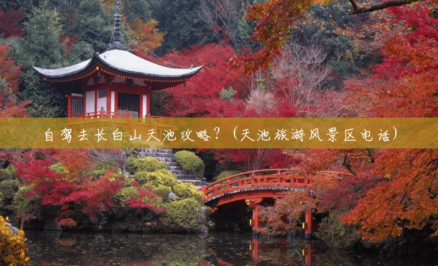 自驾去长白山天池攻略?(天池旅游风景区电话) 自驾去长白山天池攻略?(天池旅游风景区电话)