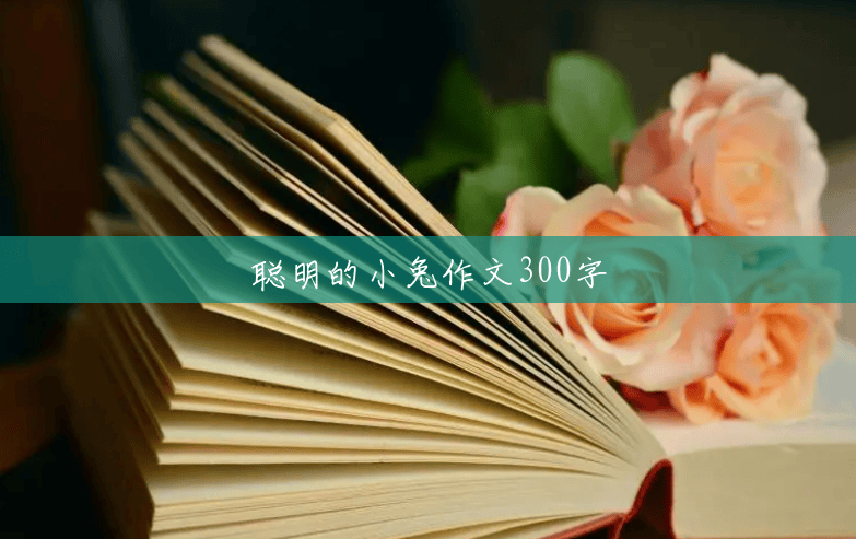 聪明的小兔作文300字 聪明的小兔作文300字