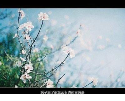 有创意的新婚祝福语