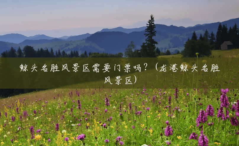鲸头名胜风景区需要门票吗?(龙港鲸头名胜风景区) 鲸头名胜风景区需要门票吗?(龙港鲸头名胜风景区)