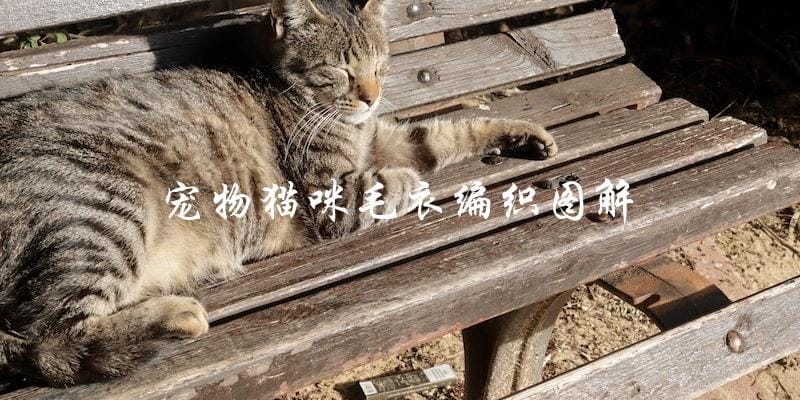 如何通过图解编织宠物猫咪毛衣? 如何通过图解编织宠物猫咪毛衣?