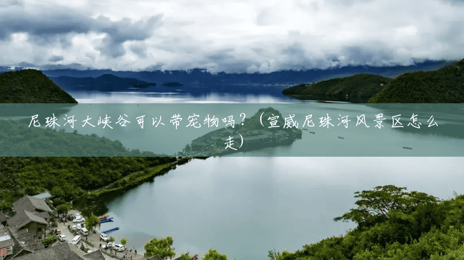 尼珠河大峡谷可以带宠物吗？(宣威尼珠河风景区怎么走)