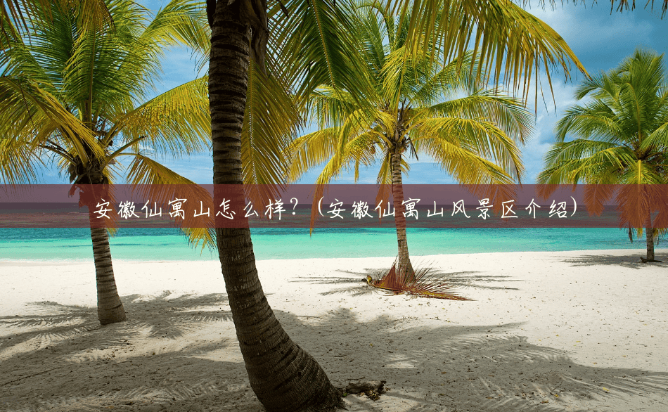安徽仙寓山怎么样？(安徽仙寓山风景区介绍)