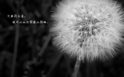 2023激励人积极向上的正能量励志语