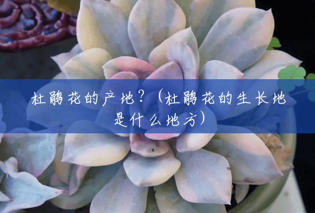 杜鹃花的产地?(杜鹃花的生长地是什么地方) 杜鹃花的产地?(杜鹃花的生长地是什么地方)