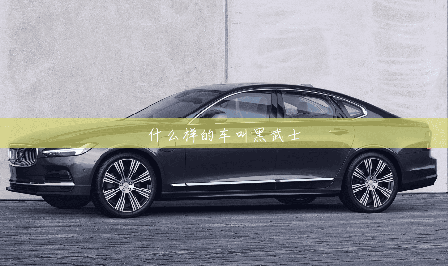 什么样的车叫黑武士 什么样的车叫黑武士