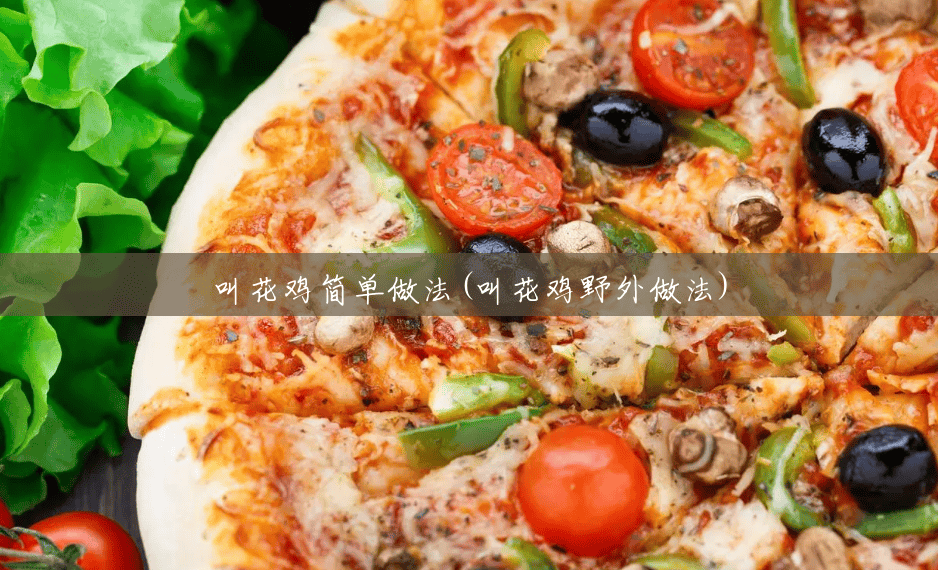 叫花鸡简单做法(叫花鸡野外做法) 叫花鸡简单做法(叫花鸡野外做法)