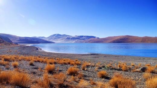现代作家名人名言