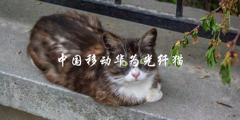 中国移动使用华为光纤猫，你知道它的优势和特点吗？